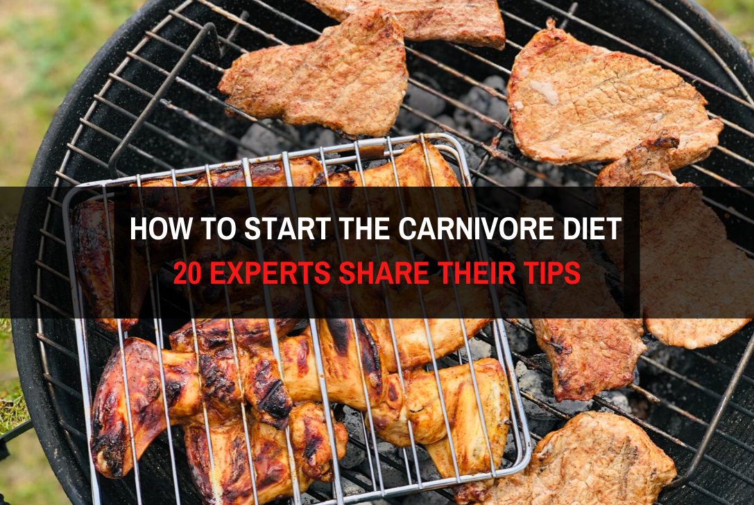 You are currently viewing How to Start the Carnivore Diet?<br>20 Experts Share Their Tips